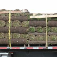 Rolls of sod with pallet tie down straps